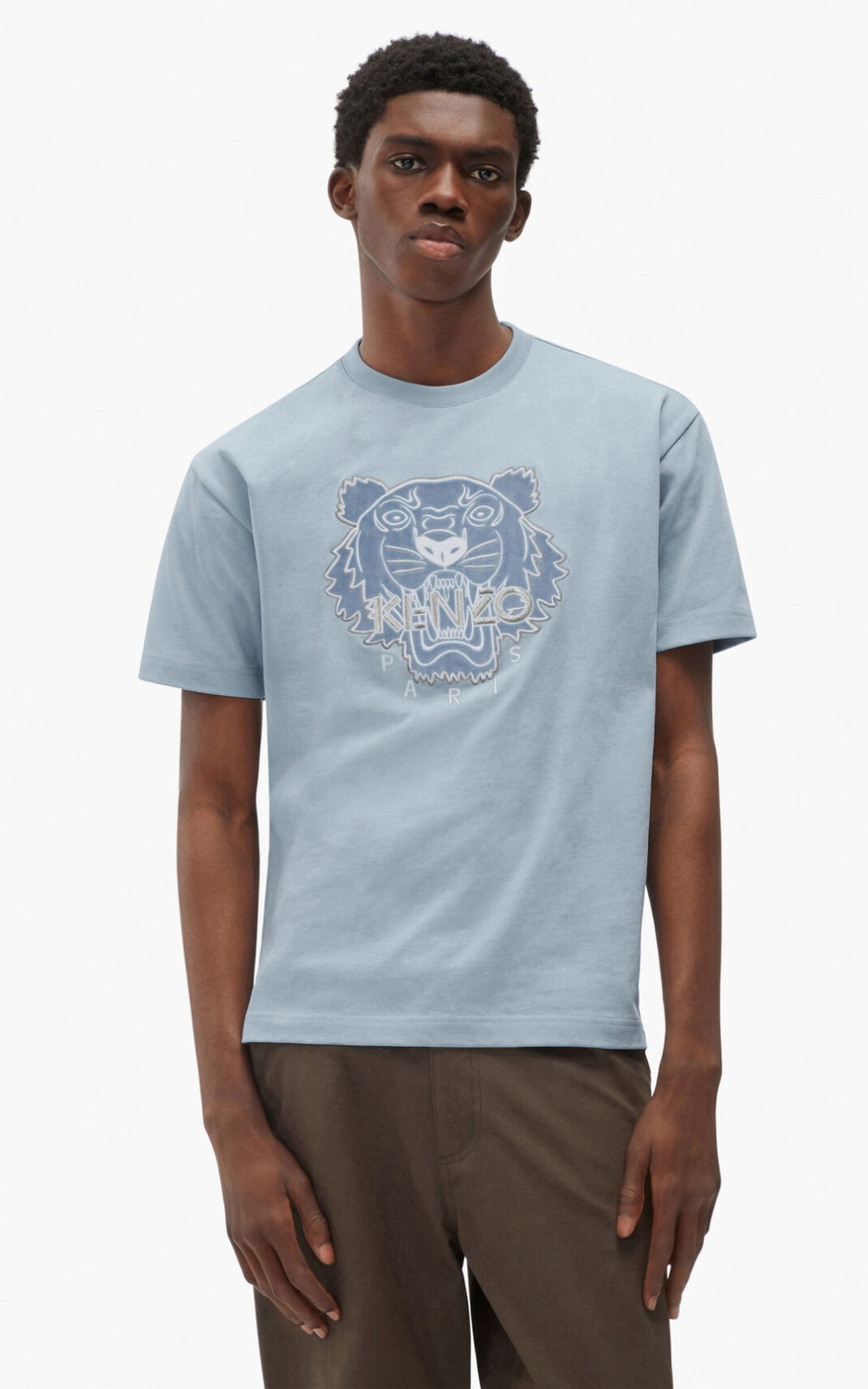 Kenzo The 冬 Capsule 虎 Tシャツ メンズ グレー - SQLRVK253